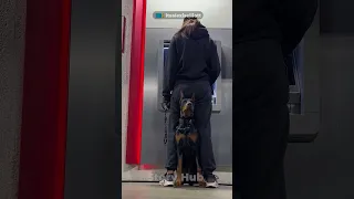 2024 Doberman Protects Owner at ATM - Everything We Know