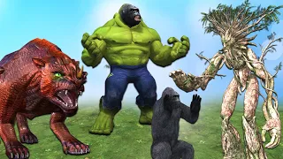 Hulk gorilla vs Dragon amazing fight || Cartoon gorilla animated video by Mr Lavangam