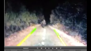 Bigfoot hit by car. Recorded by backup camera. Breakdown