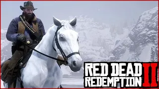 RED DEAD REDEMPTION 2 TÜRKÇE - EN İYİ AT - BÖLÜM 5