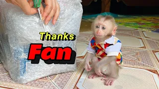 baby monkey Tina and mom are curious about the gift given by fans
