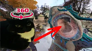 Maxwell The Cat 360° - extreme SWIMMING / VR 360° Experience