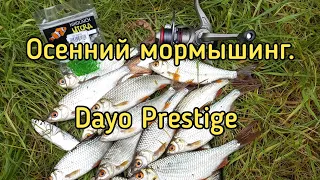 Осенний мормышинг. Ловля плотвы на мормышку с Dayo Prestige.