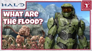 Halo's Sceptical Parasite - The Science of The Flood (Halo)