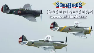 ScaleBirds, LiteFighter Replica Aircraft, Verner Radial Aircraft Engines.