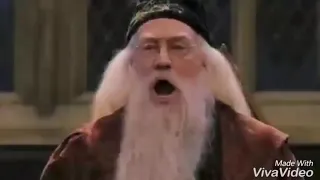 Dumbledore Silence