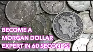 Morgan Silver Dollars in 60 Seconds - Everything You Need to Know!