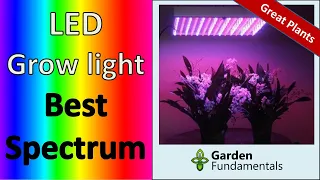 Best LED Grow Lights 💡🎭🔊  Getting the Right Color Spectrum