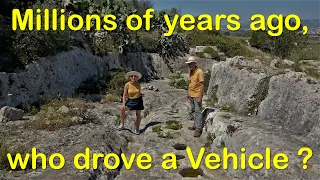 Vehicles driven 10 million years ago