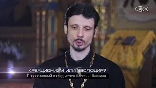 Креационизм или эволюция?