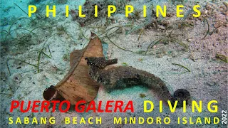 DIVING PUERTO GALERA - DOCUMENTARY - PHILIPPINES