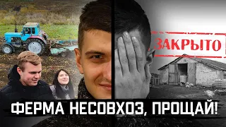 Что такое ОСБ❓- Собираем КАРТОШКУ🥔 БЕЗ РУК! - Зачем мы ищем ФОСФОР в поле? - 🛠Стройка полным ходом!