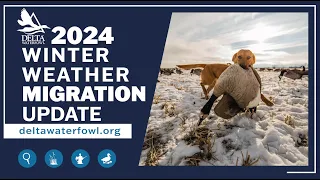 January 2024 Winter Weather Migration Update
