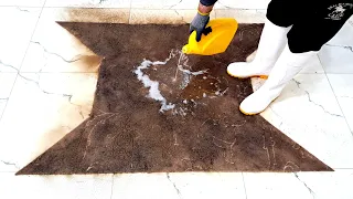 Filthiest,Dark Mud,Poured From This Flooded Rug | Carpet Cleaning Satisfying