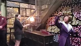 Ollivander's Wand Demonstration