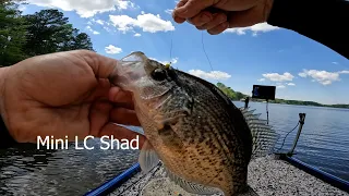 Catching Crappie Pre-Post Spawn/Shallow Water Crappie