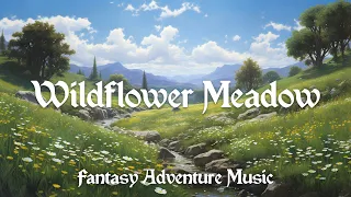 Wildflower Meadow - Celtic Adventure Music