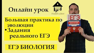 БОЛЬШАЯ ПРАКТИКА ПО ЭВОЛЮЦИИ 2 ЧАСТЬ РЕЛАЬНОГО ЕГЭ |ЕГЭ БИОЛОГИЯ|Freedom|