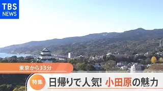 日帰りにピッタリ！ぶらり小田原の旅