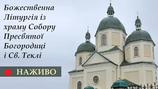 Наживо. Божественна Літургія у храмі Собору Пресвятої Богородиці і Святої Теклі (ТК "Броди online")