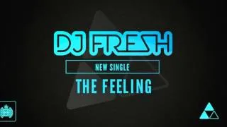 Dj Fresh ft RaVaughn The Feeling  [Lyric in desc]