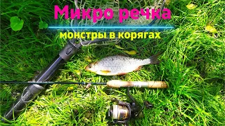 #350 #Мормышинг | Микро речка | Монстры в корягах |