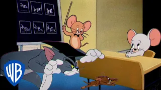 Tom & Jerry em Português 🇧🇷 | Brasil | Especial Volta às Aulas! 📚 | @WBKidsBrasil​