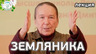 Все о землянике садовой в одной лекции.  Как вырастить садовую землянику (клубнику).