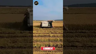 Kubota combine harvester I Mini combine harvester #shorts