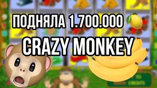 ПРИЯТНЫЙ ЗАНОС В КАЗИНО ВУЛКАН! Crazy monkey!!!!