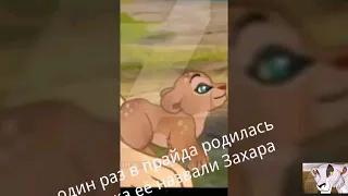 История Захары