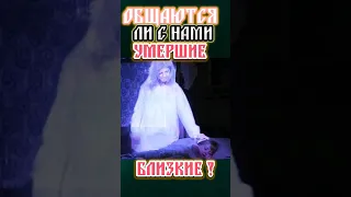 слышат ли нас усопшие? могила, это не ресторан! #православие #поминки