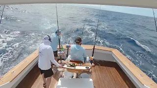 Incredible Blue Marlin Release | Morehead City, NC