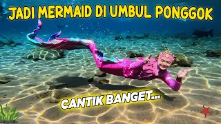 JANGAN KAGET! ADA MERMAID ASLI DI BAWAH AIR🧜‍♀️