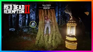 Why You Should NEVER Go To Tall Trees At Night In Red Dead Redemption 2 Or Else This Will Happen!