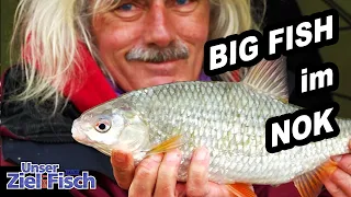 DICKE FISCHE im NORDOSTSEEKANAL - FEEDERN im STURM mit JÖRG OVENS - Unser Ziel ist Fisch - Folge 32