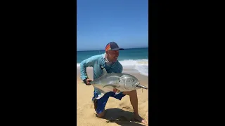 Surf Fishing in Cabo San Lucas July 2023