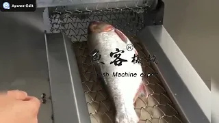 FCM658 Fish Scaling Machine/ use high-pressure water