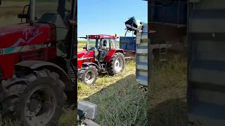 Nowy nabytek 2022! Claas Dominator 88. Żniwa rzepak.