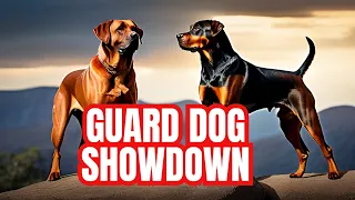 Rottweiler vs Rhodesian Ridgeback - Who's the Ultimate Guard Dog?