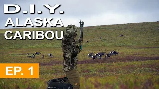 BOW HUNTING ALASKA | Barren Ground Caribou EP. 1