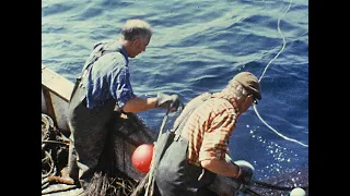 Vardag i väst - på räkfiske med LL463 Mälaren 1973