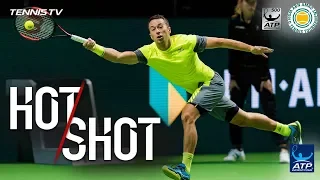 Kohlschreiber Scrambles For Hot Shot Rotterdam 2018