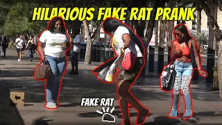 Hilarious Fake Rat Prank **MUST WATCH***