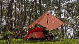 SOLO CAMPING HEAVY RAIN IN PINE FOREST - RELAXING & SLEEP IN THE TENT WITH SOUND OF RAIN - ASMR RAIN