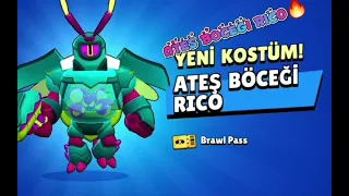 Ateş Böceği Rico ve Eve