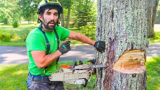 CUTTING A PROBLEM TREE