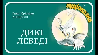 ДИКІ ЛЕБЕДІ - Г.Х.Андерсен - Аудіоказка - Слухати казку українською мовою - Ukrainian fairy tale