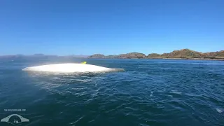 Sea kayaker self rescue from whirlpool