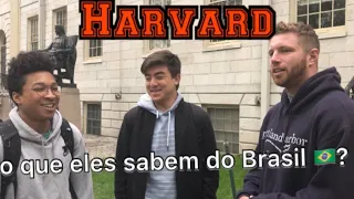 O que Os Gringos sabem sobre Brasil na Melhor Universidade dos EUA (Harvard)